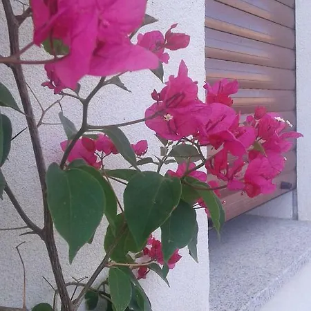 Bed & Breakfast Alma 3*