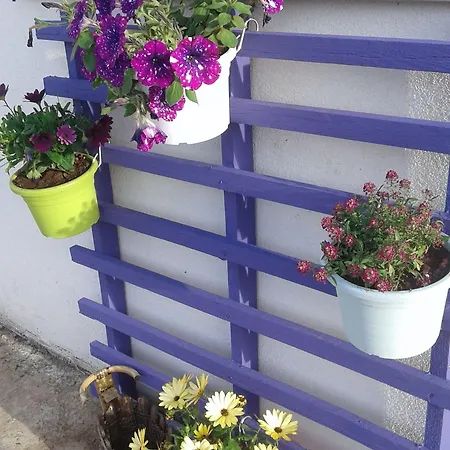 Alma 3* 세나리올로