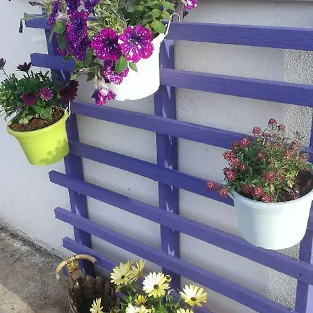 Bed & Breakfast Alma Bed Sennariolo