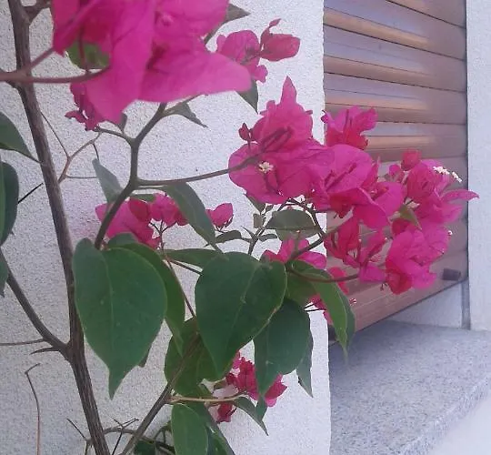 Oda ve Kahvaltı Alma 3*